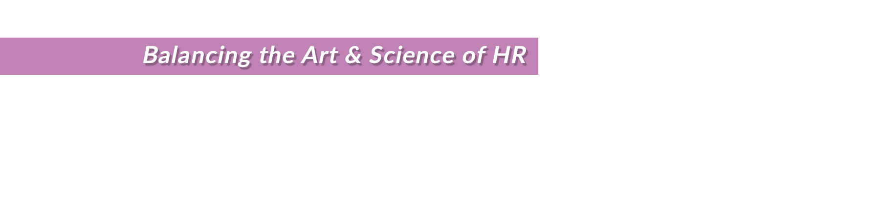 DCSI - Balancing the Art and Science of Human Resources