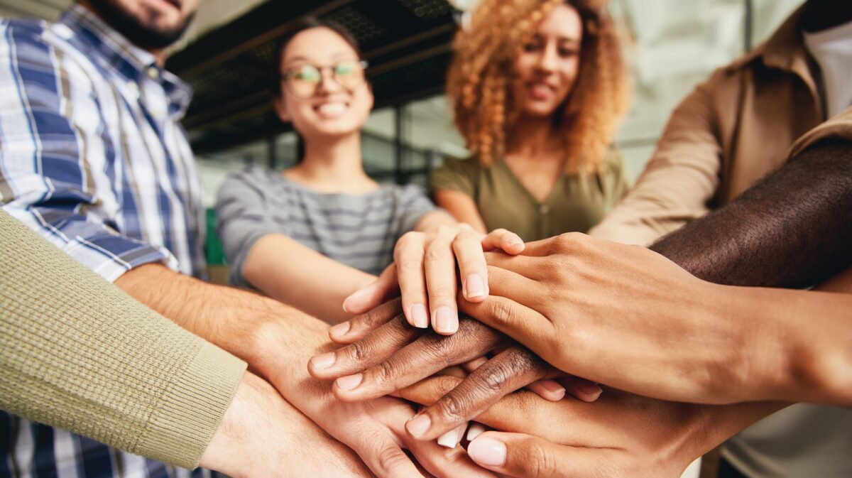 Outsourced support services for Human Resources management - culture, inclusion, and merit based initiatives. Team Culture.