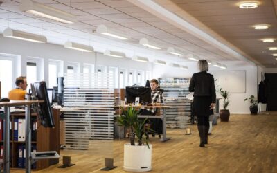 Rising Employment Litigation Expected to Continue in 2026: How HR Can Reduce Risk and Costs